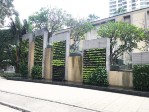 millennium-residence-bangkok-green-wall